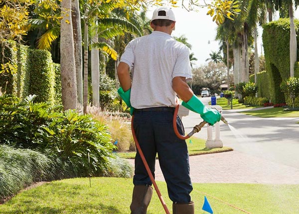About Mountain Home AR Pest Control Pros